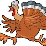 Here's an alt tag for the image: Running cartoon turkey escaping.